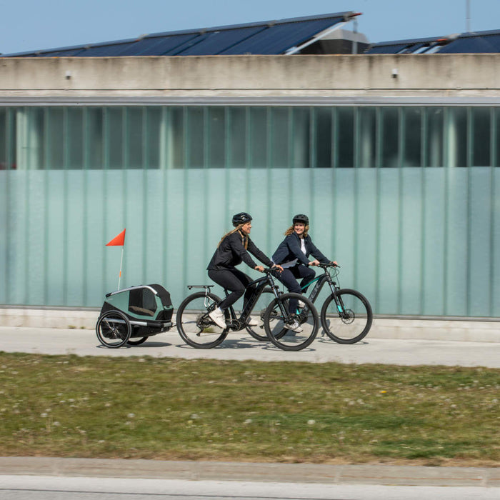 Thule Bexey Dog Bike Trailer