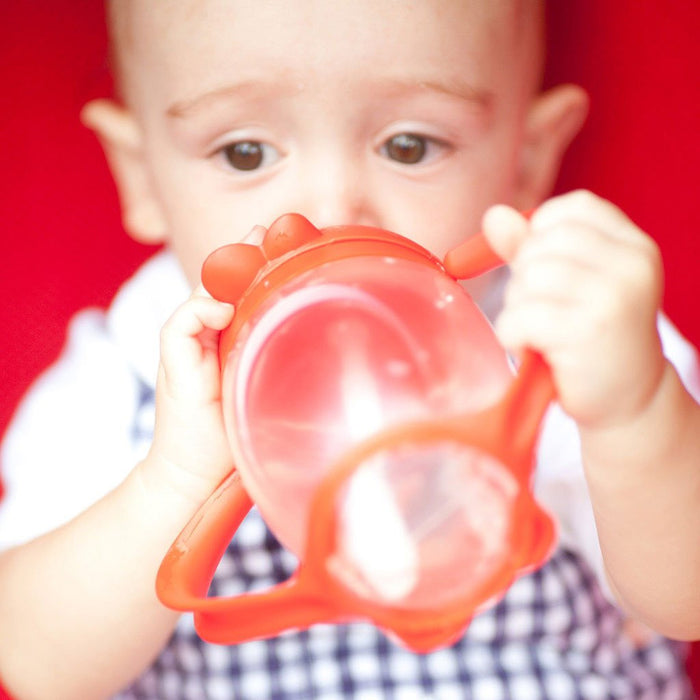 Lollaland Lollacup - Straw Sippy Cup