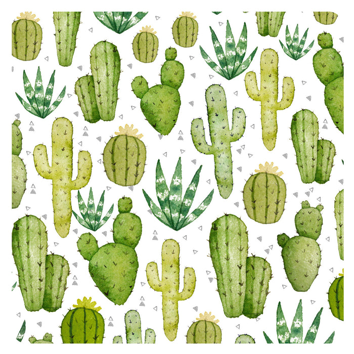 BapronBaby Desert Cactus Toddler Bapron, 6M - 3T